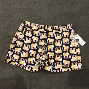 Size 0 Crown and Ivy Shorts
